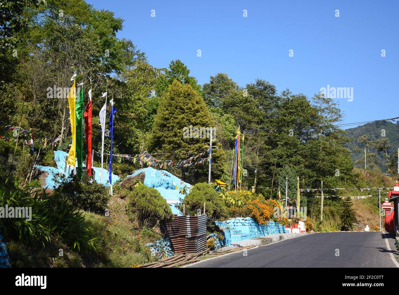 Colorful Fluttering Buddhist Prayer Flags with dense green pine tree Stock Photo