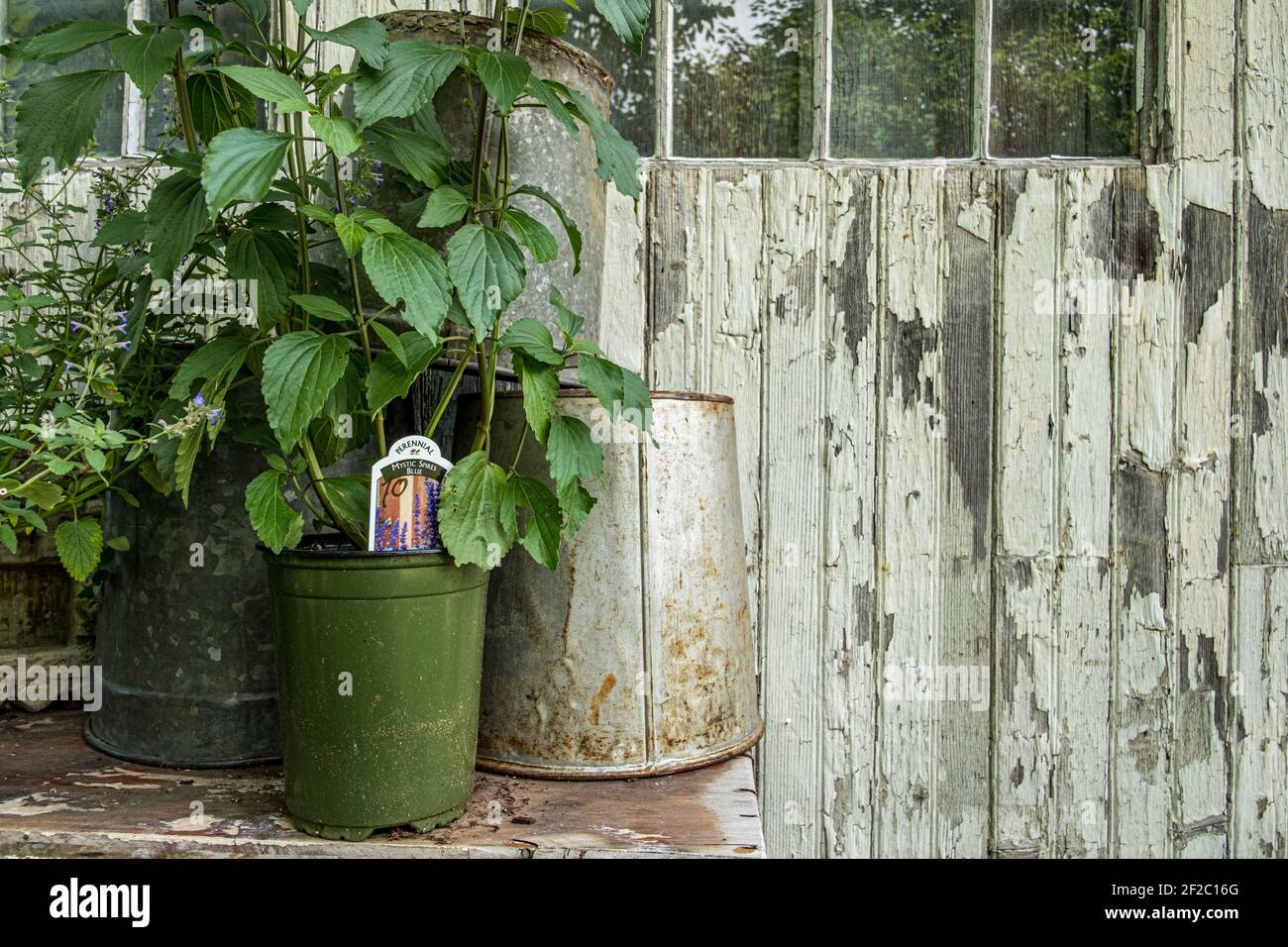 Business in downtown Peterborough, NH Stock Photo Alamy