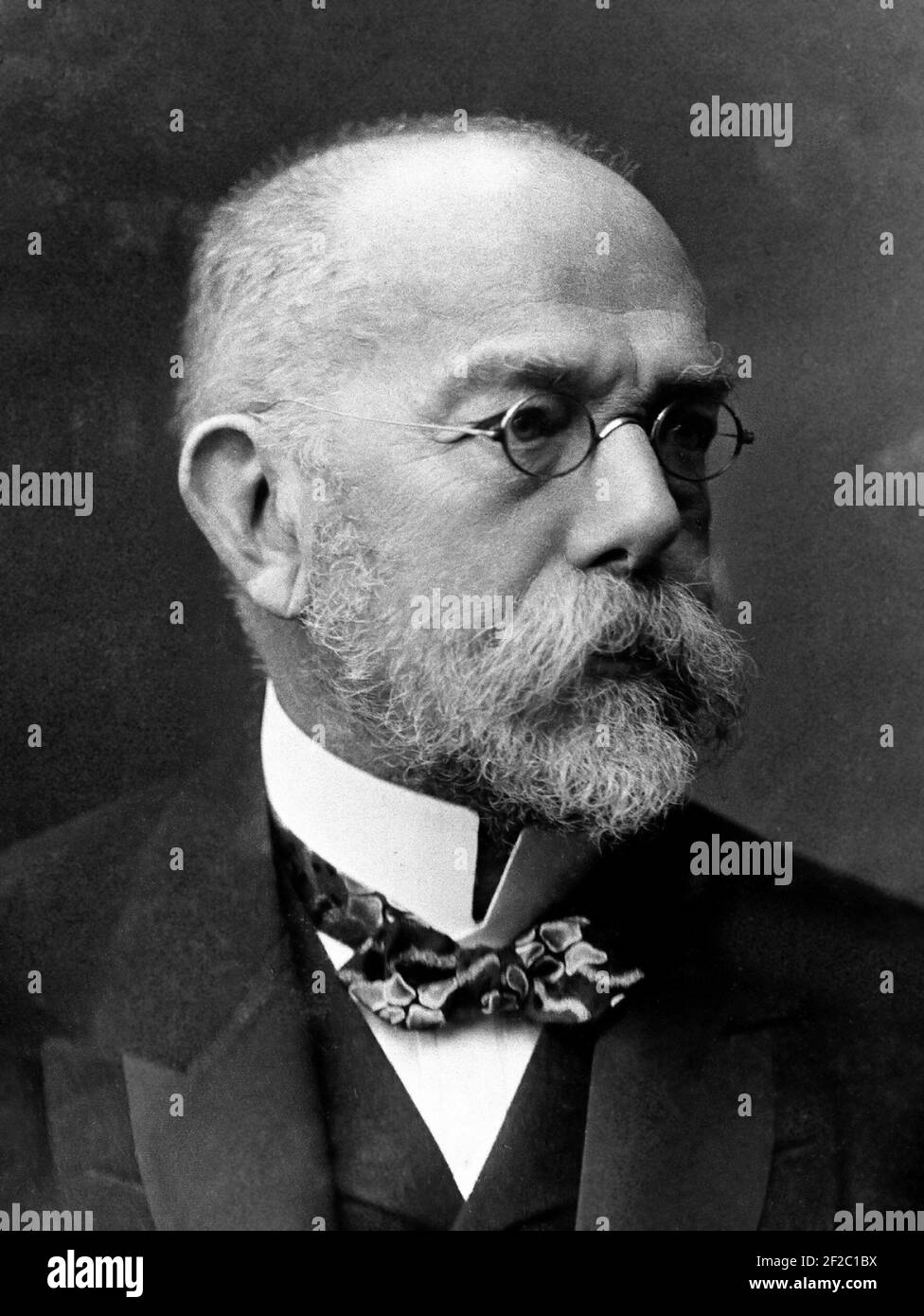 Robert Koch. Portrait of the German Nobel prizewinning microbiologist and physician, Heinrich Hermann Robert Koch (1843-1910), 1907 Stock Photo