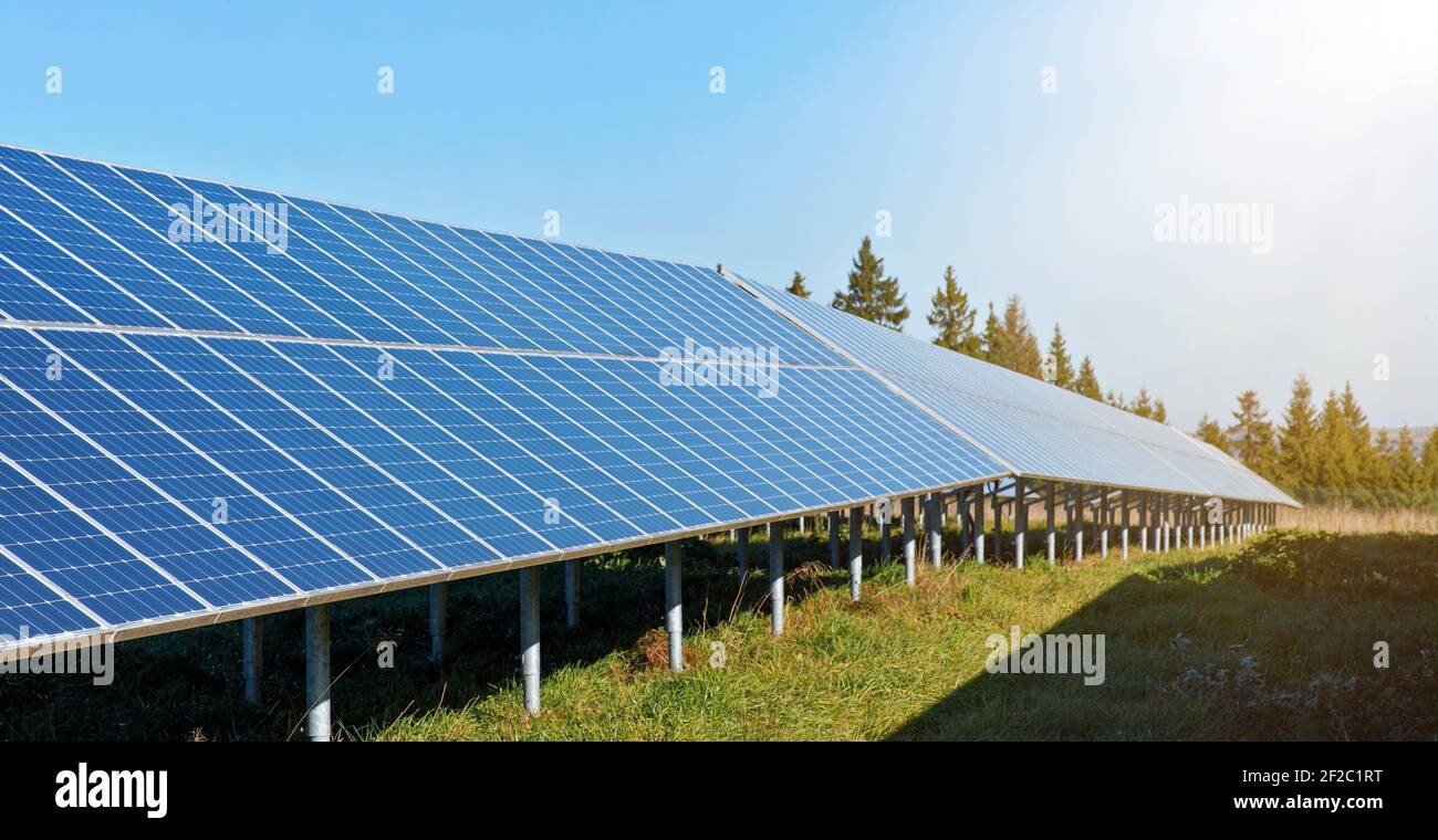 Solar panel collectors in forest, coniferous trees in background, clear sky above, closeup detail Stock Photo