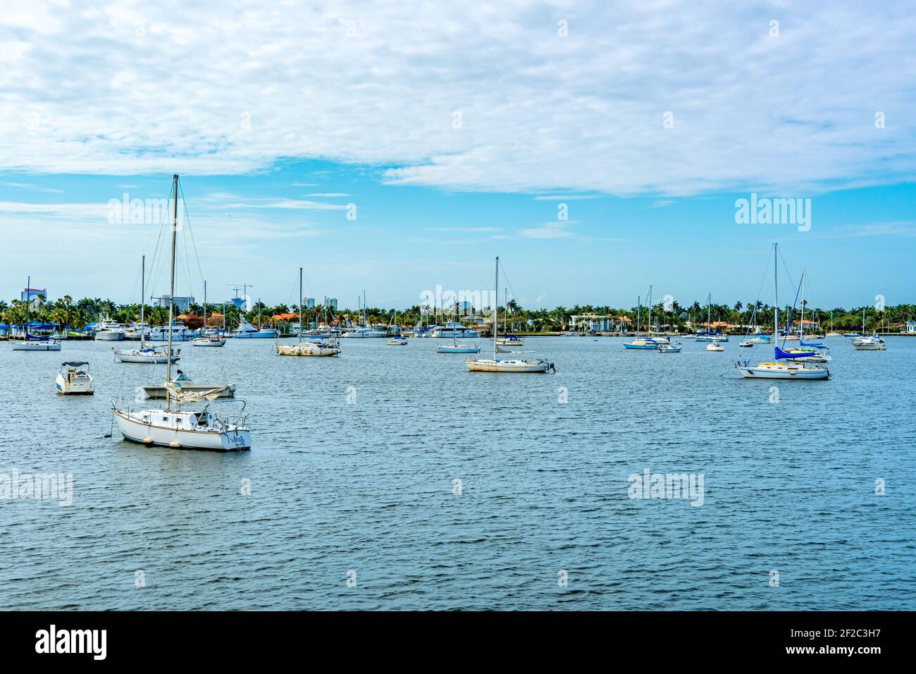 Sailboats at Hollywood Marina Hollywood, Florida, USA Stock Photo Alamy