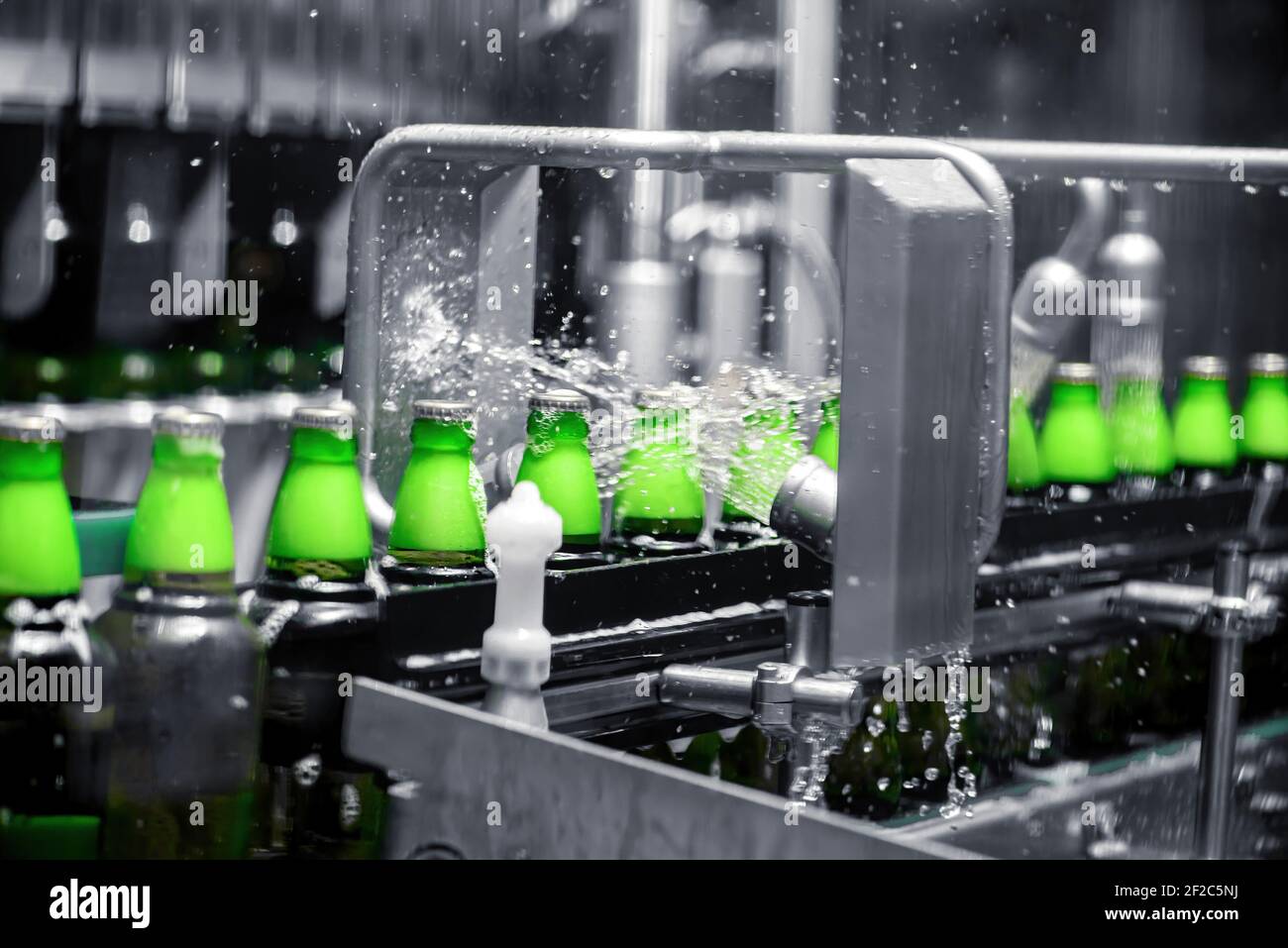 The process of filling beer into bottles on a production conveyor line. Stock Photo