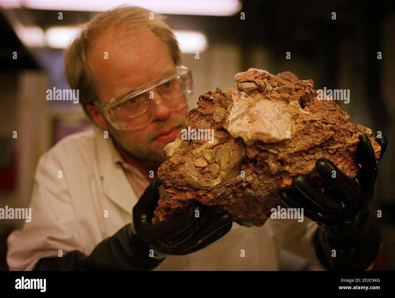simon parfit of the national history museum lifts a block of breccia from an acid bath.it is composed of many animal bones and will be crucial in dating a flint hand axe. 23/9/01 pilston Stock Photo