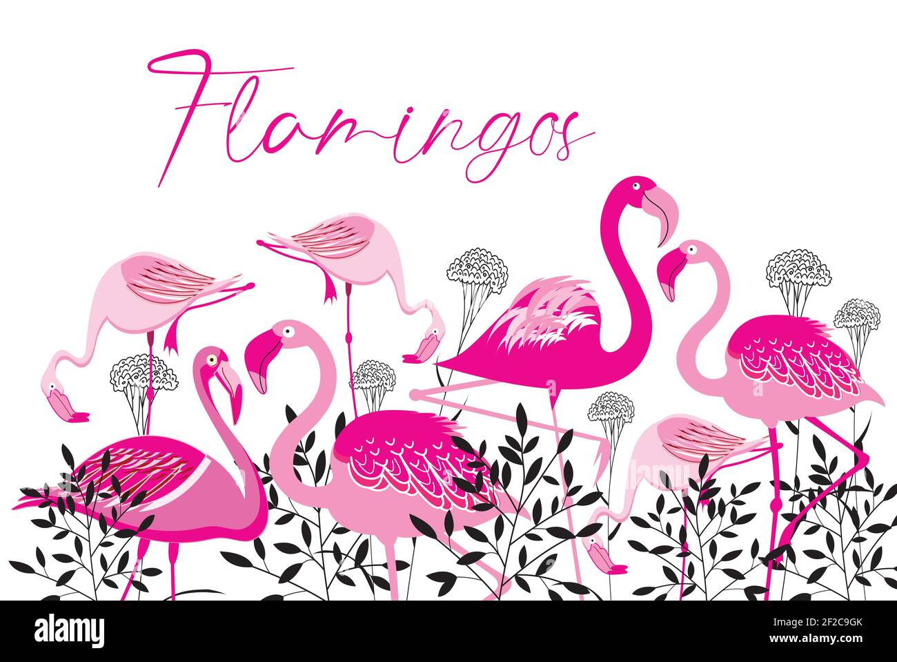 Pink vector flamingos on a white background with plants. Sample design ...