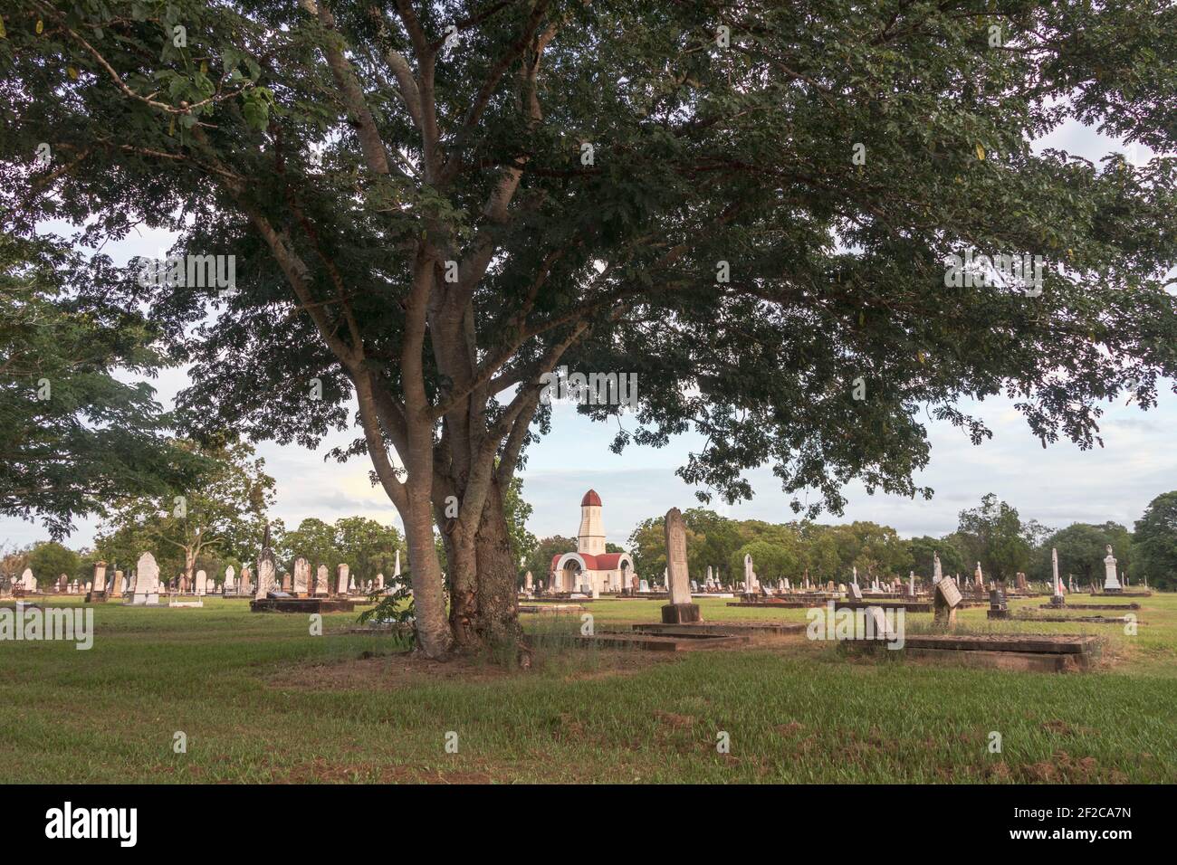 Large tree over cemetery graves Stock Photo