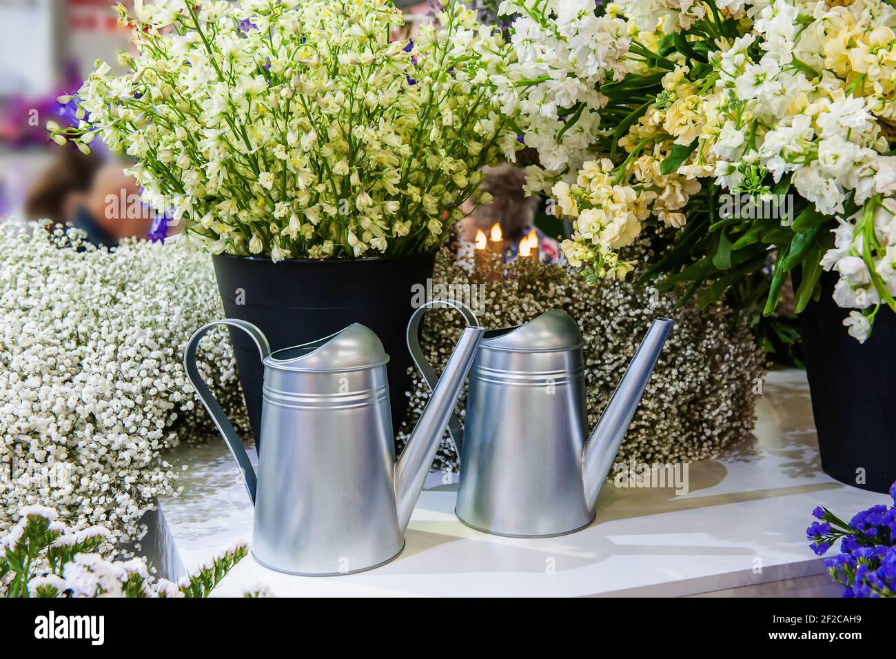 Garden metal watering cans are sold in the hardware store on the retail shelf. the concept of care for indoor and garden plants. Stock Photo