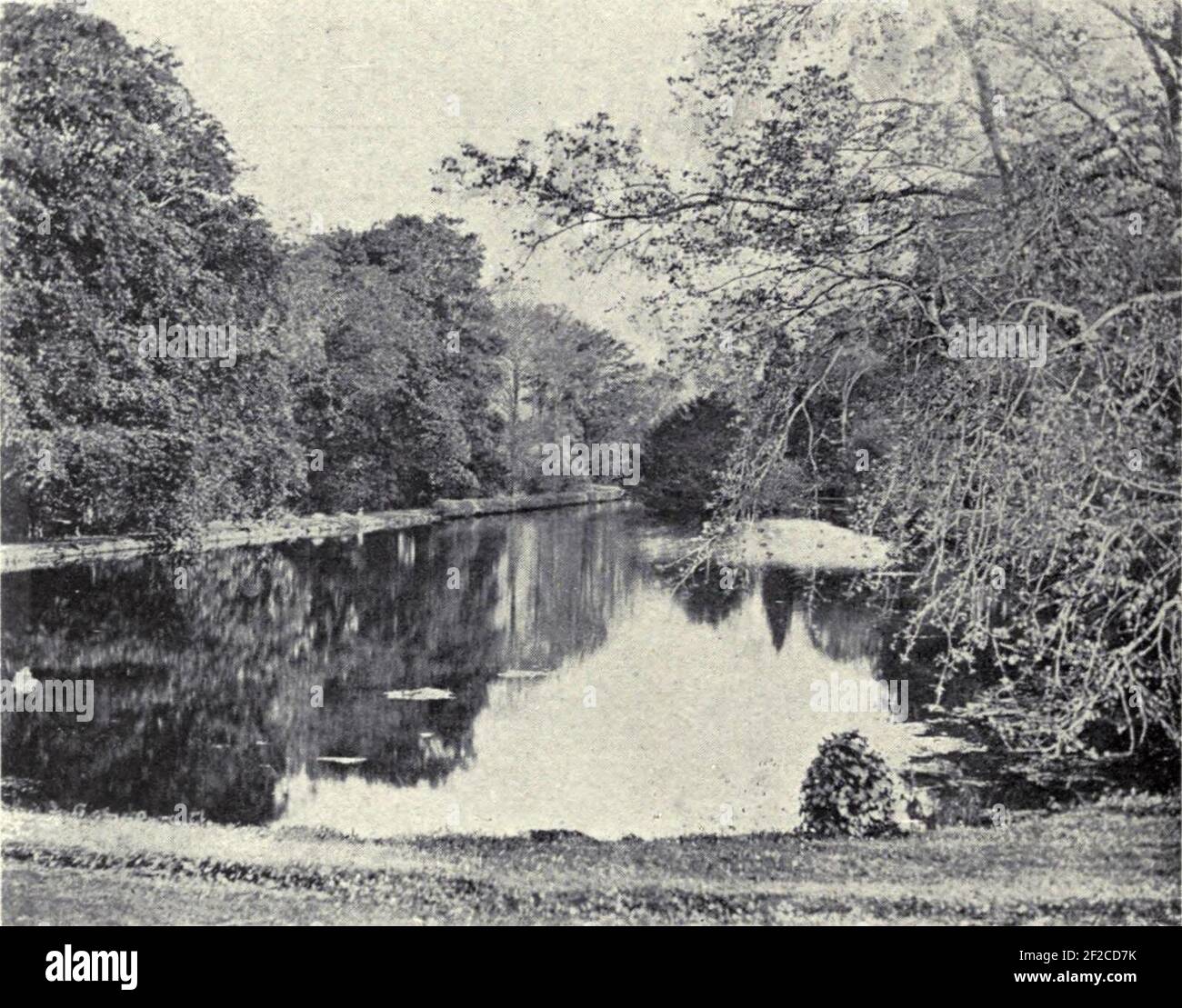 Pond at Penheale Manor, Egloskerry, Cornwall Stock Photo Alamy