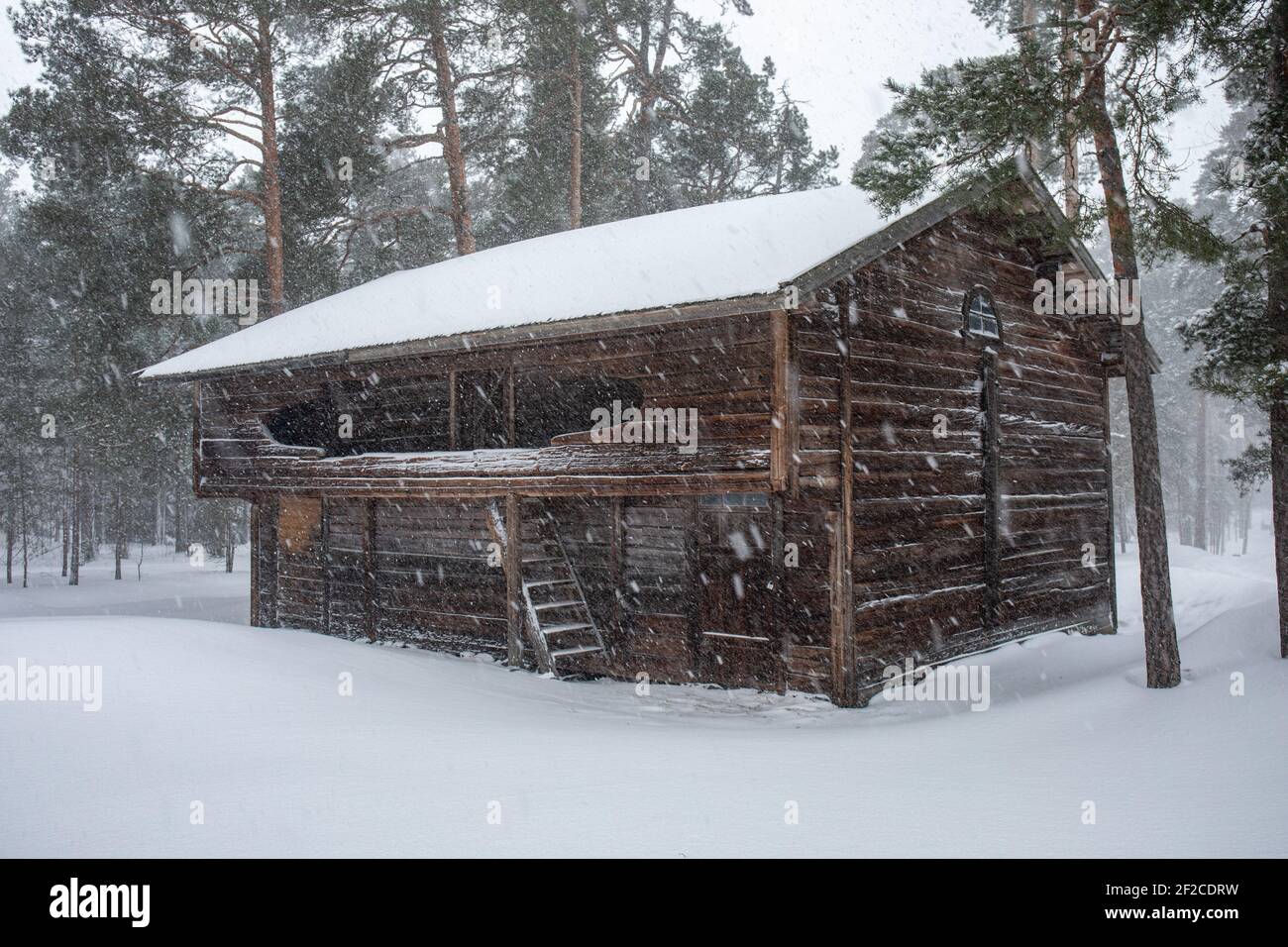Old traditional drying barn during heavy snowfall at Seurasaari Open-Air Museum in Helsinki, Finland Stock Photo