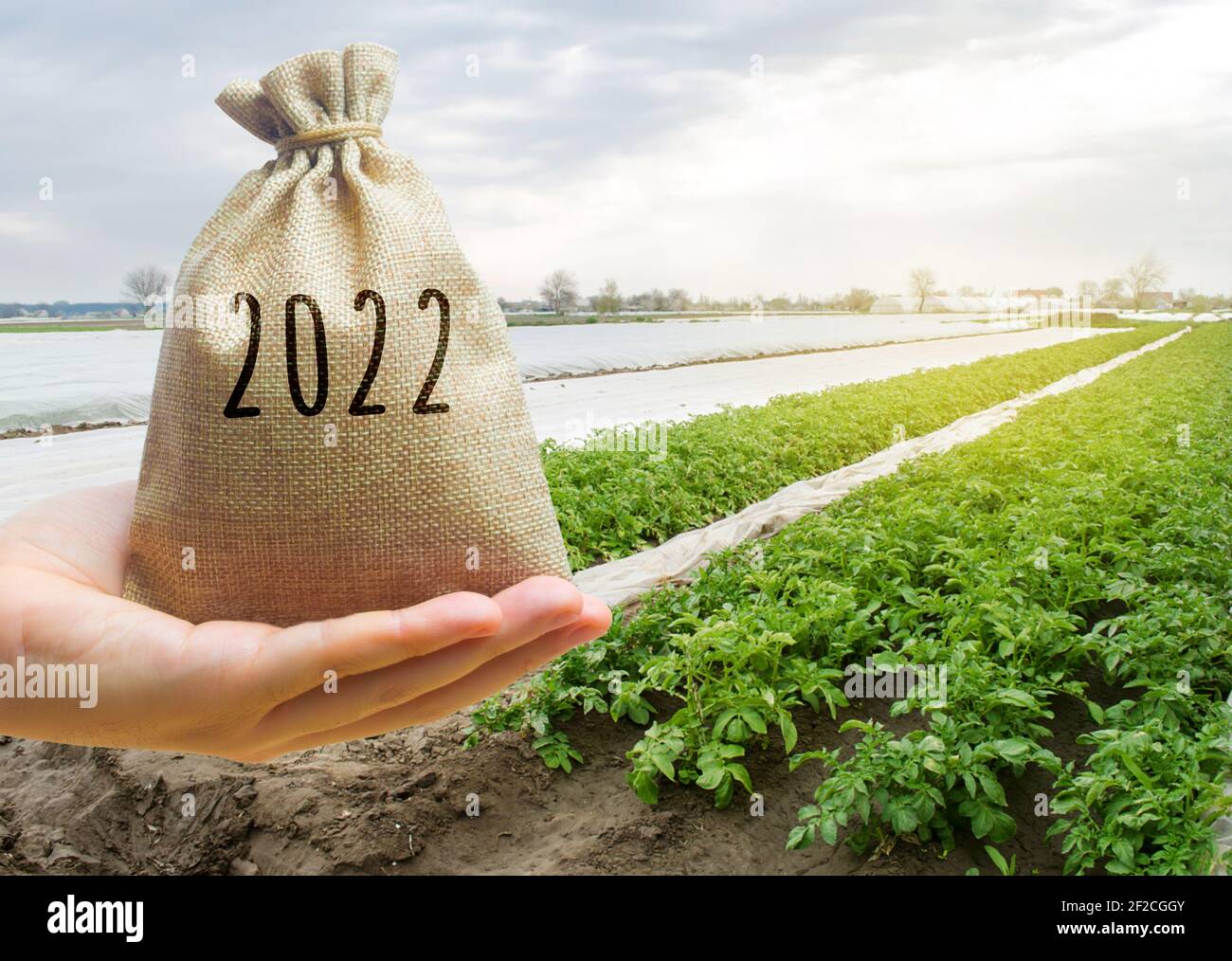 Money bag 2022 in the hands of a farmer and agricultural plantations. Harvesting, profit and budget concept. Investment in farming. Startups. Lending Stock Photo