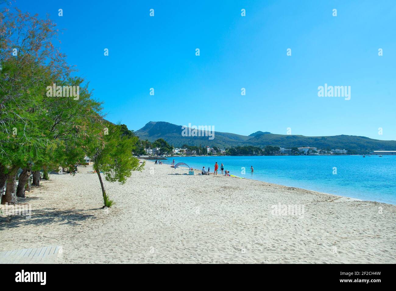 Beach in front of Pine walk, Port Pollenca, Majorca, Balearic islands, Spain Stock Photo