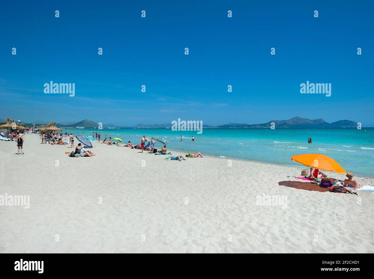 Playa Muro, Alcudia, Majorca, Balearic islands, Spain Stock Photo
