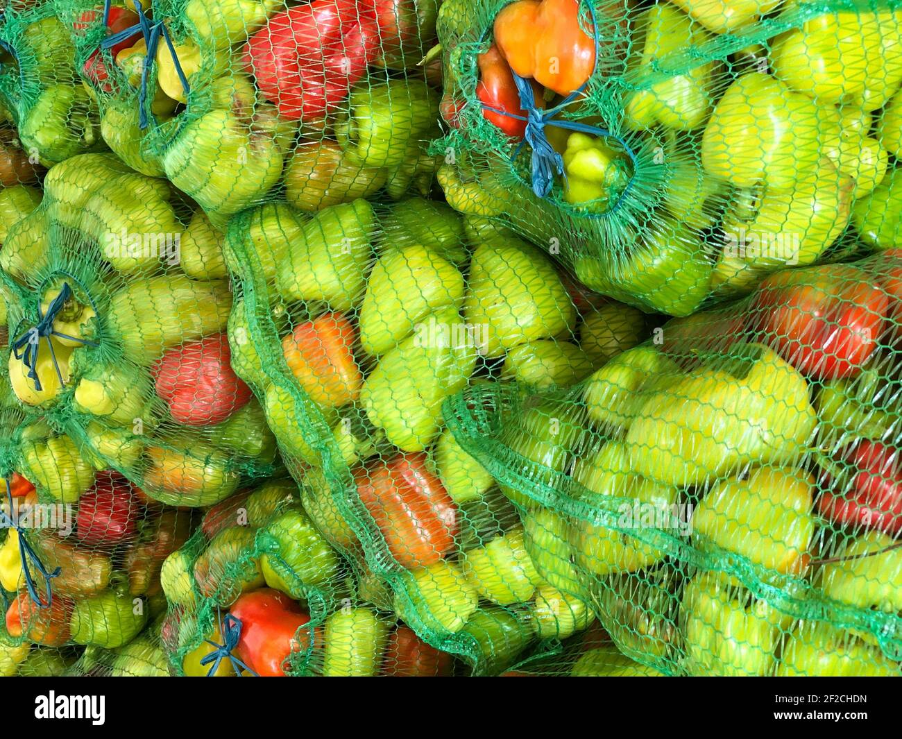 Bell pepper harvesting hi-res stock photography and images - Alamy