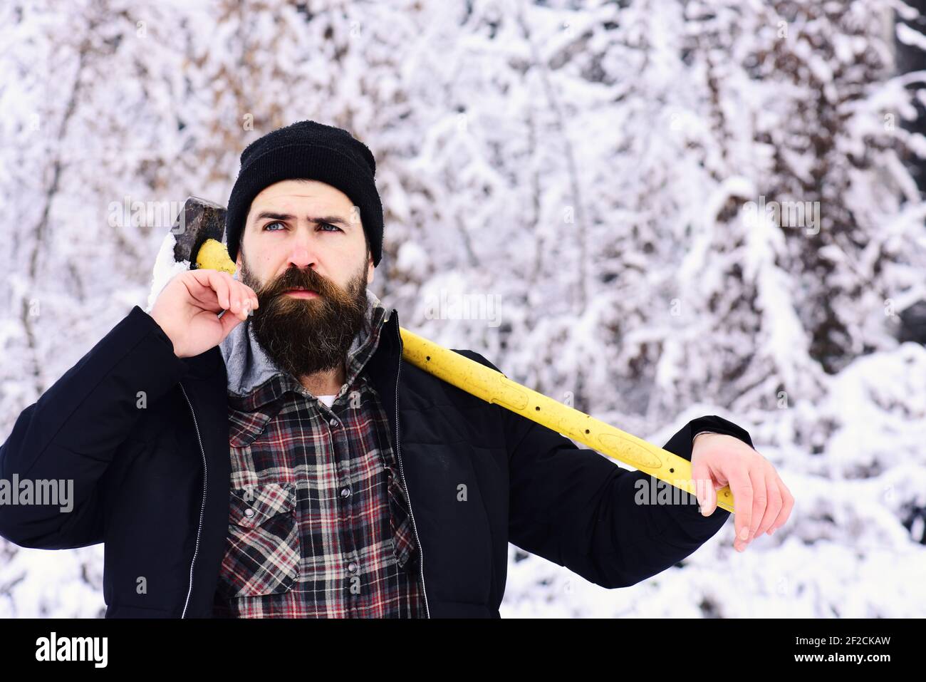 lumberjack concept. lumberjack man working in the winter forest. Guy with thoughtful face with