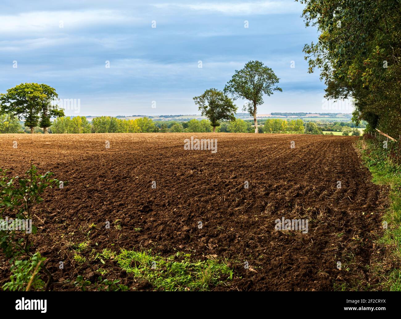 Country Scene between Egerton and Pluckley near Ashford in Kent
