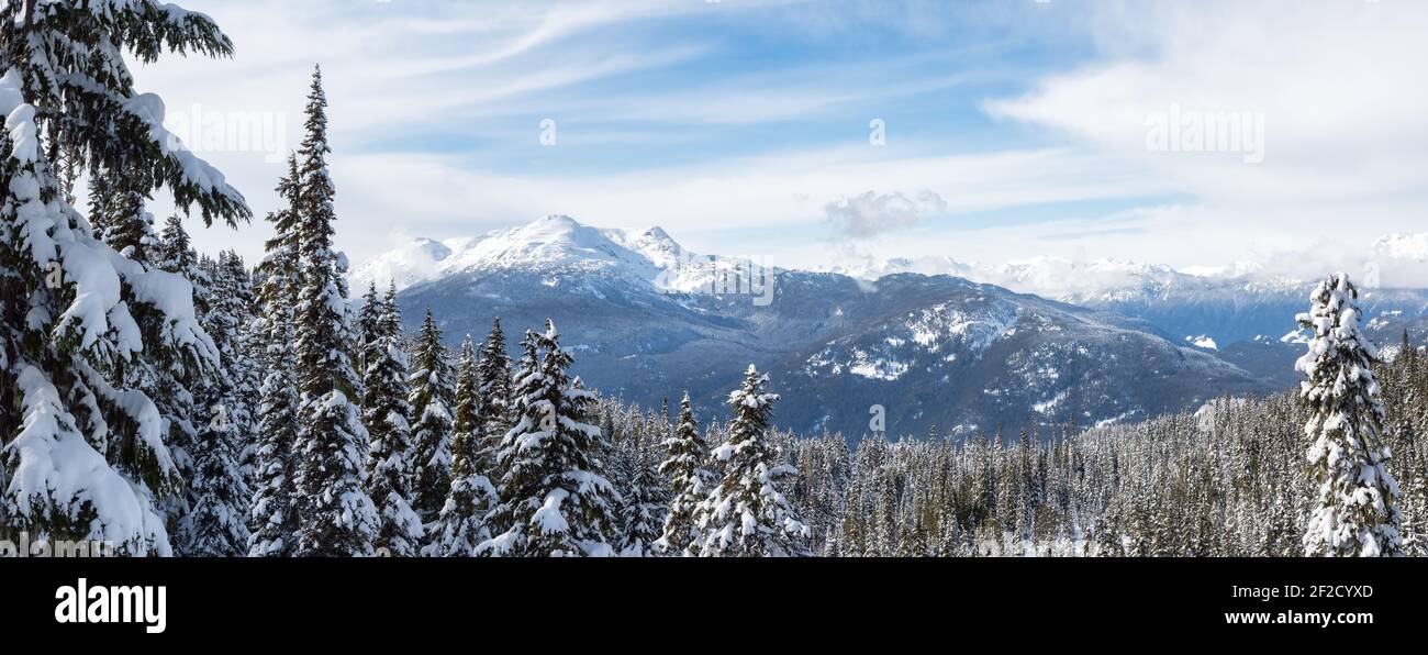 Snow Covered Green Trees in the Forest with Canadian Mountain Landscape ...