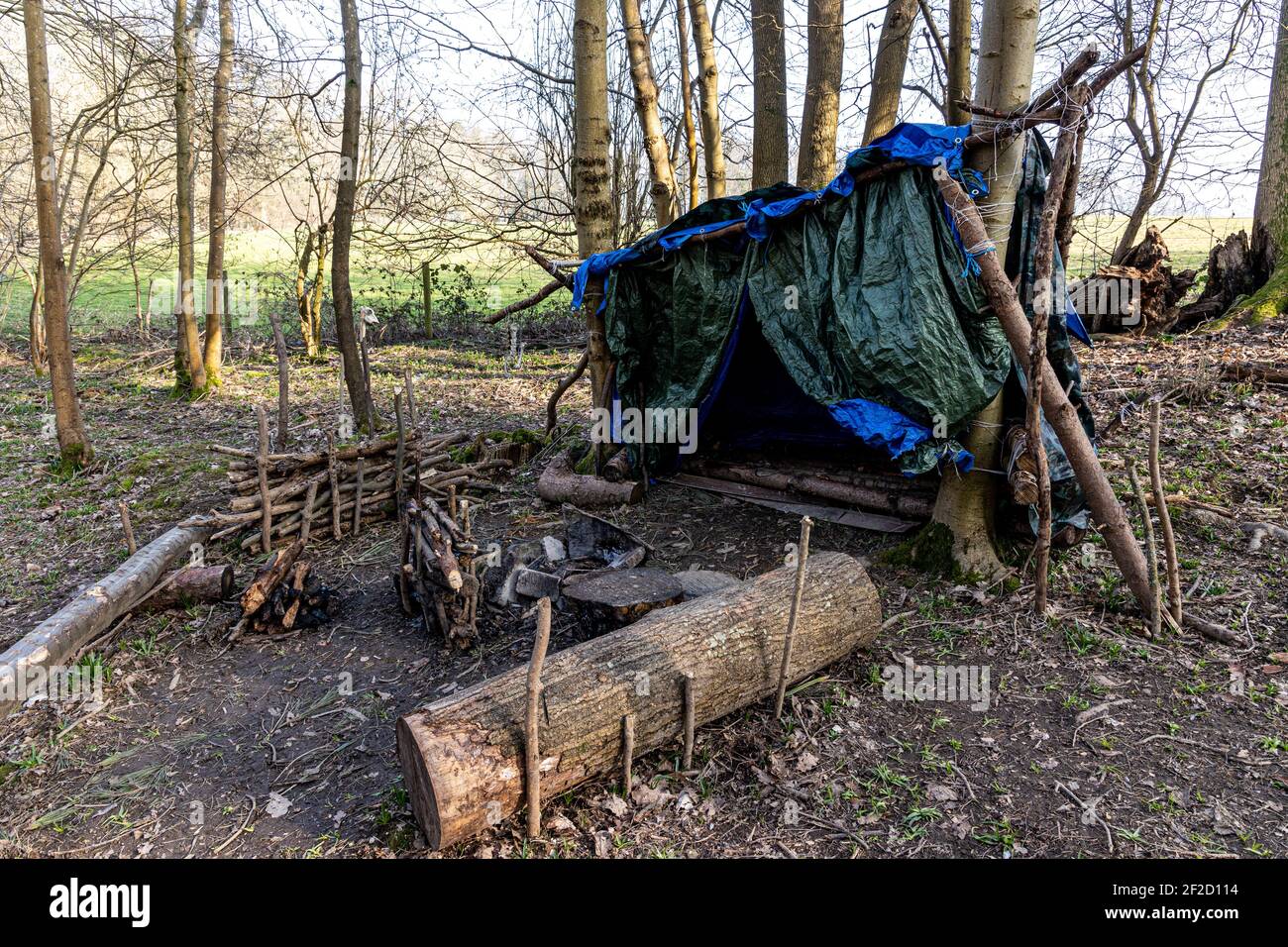 Primitive survival outlet