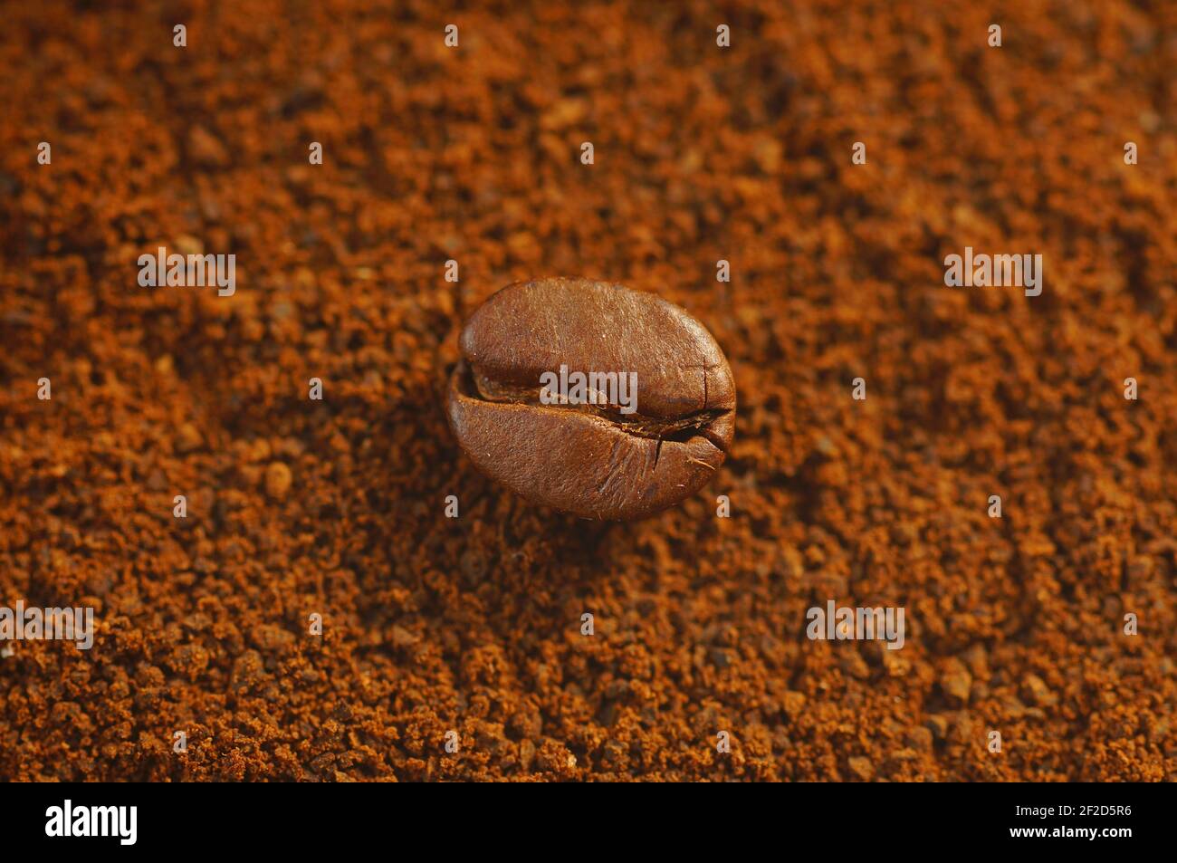 Coffee bean in the foreground- ground coffee in the background Stock Photo