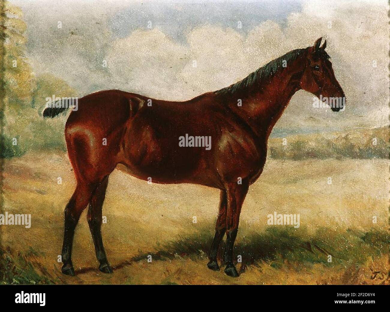 Portrait of a hunter (4702504 Stock Photo - Alamy