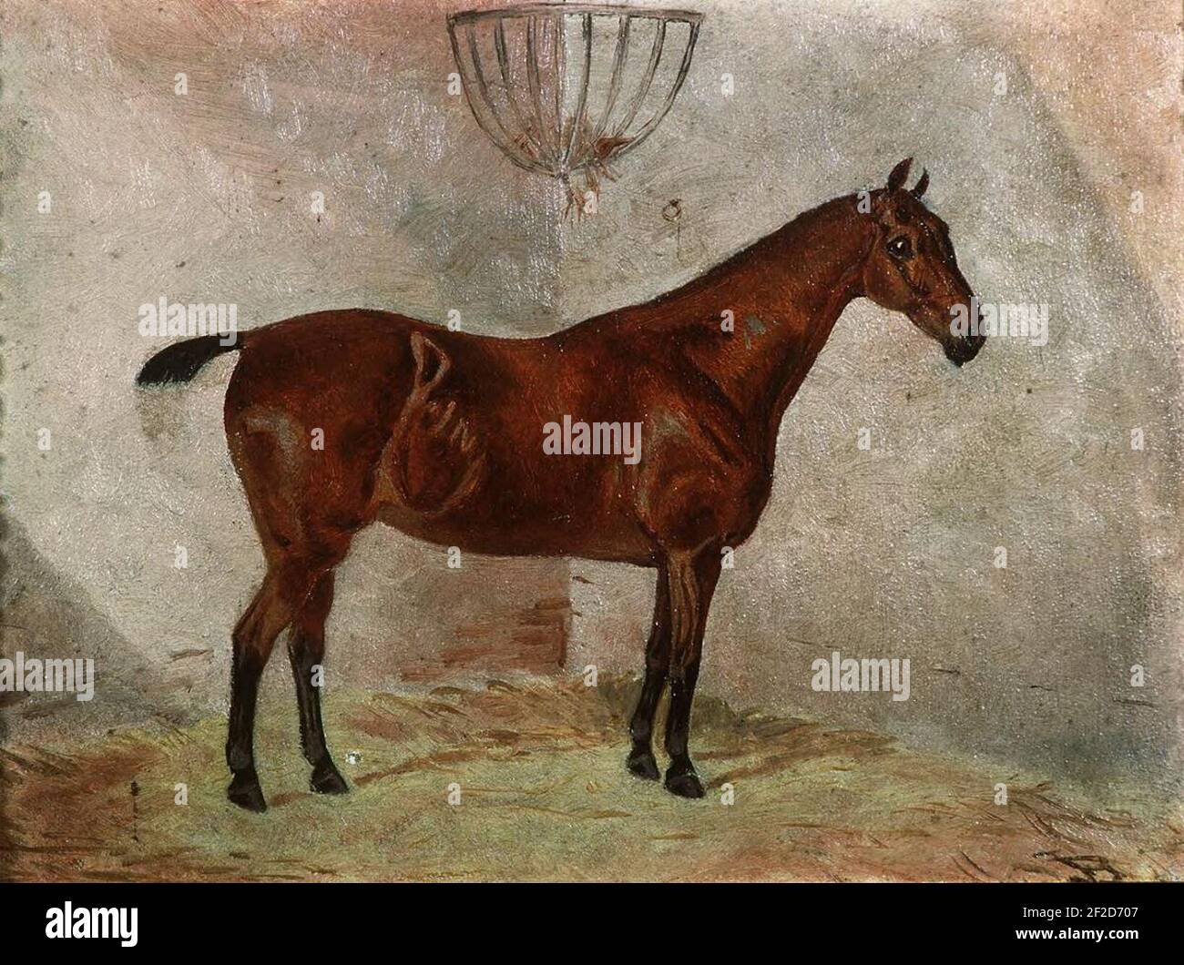 Portrait of a hunter Stock Photo - Alamy