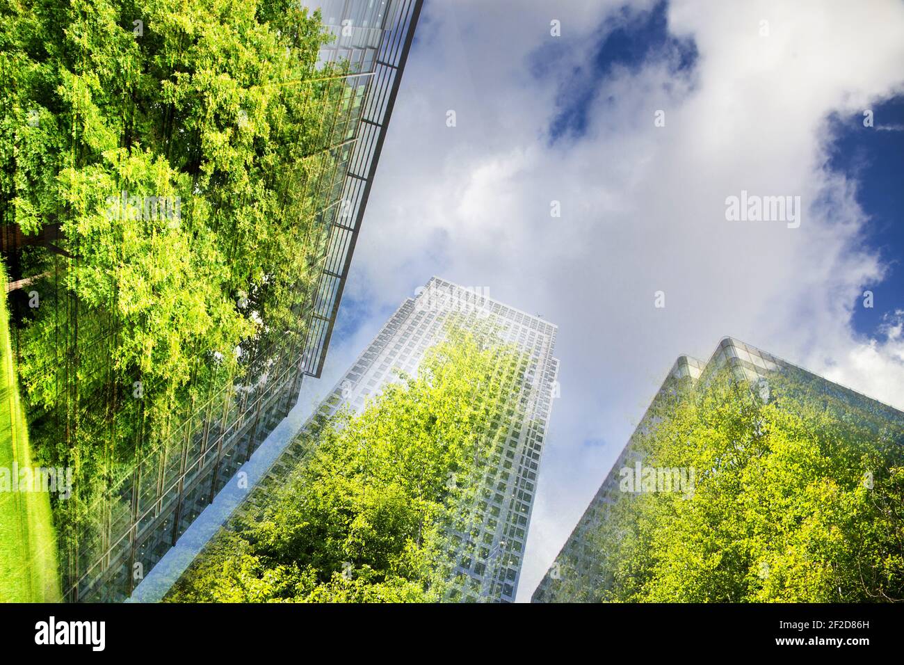 green city - double exposure of lush green forest and modern skyscrapers windows Stock Photo