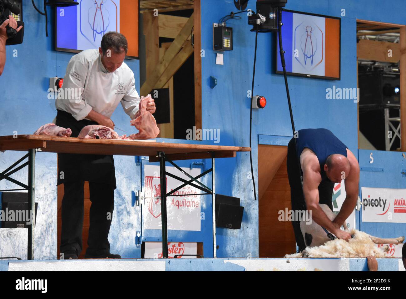 Butcher against sheep shearer against the clock at World Shearing