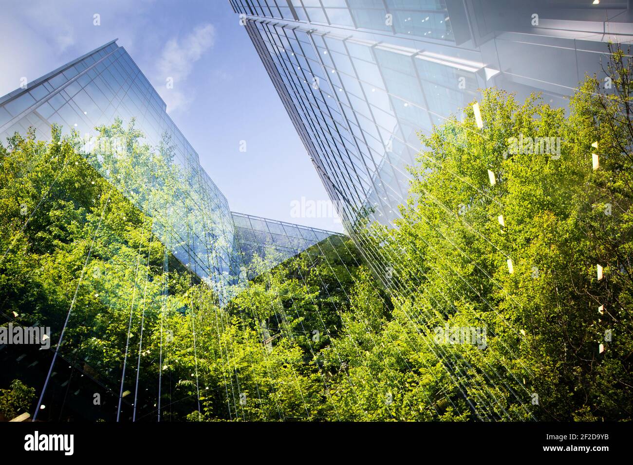 green city - double exposure of lush green forest and modern skyscrapers windows Stock Photo