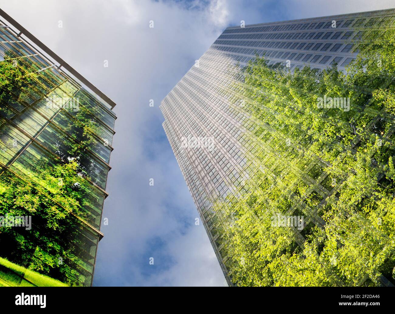 green city - double exposure of lush green forest and modern skyscrapers windows Stock Photo