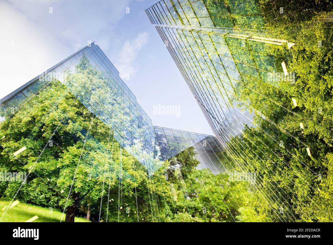 green city - double exposure of lush green forest and modern skyscrapers windows Stock Photo