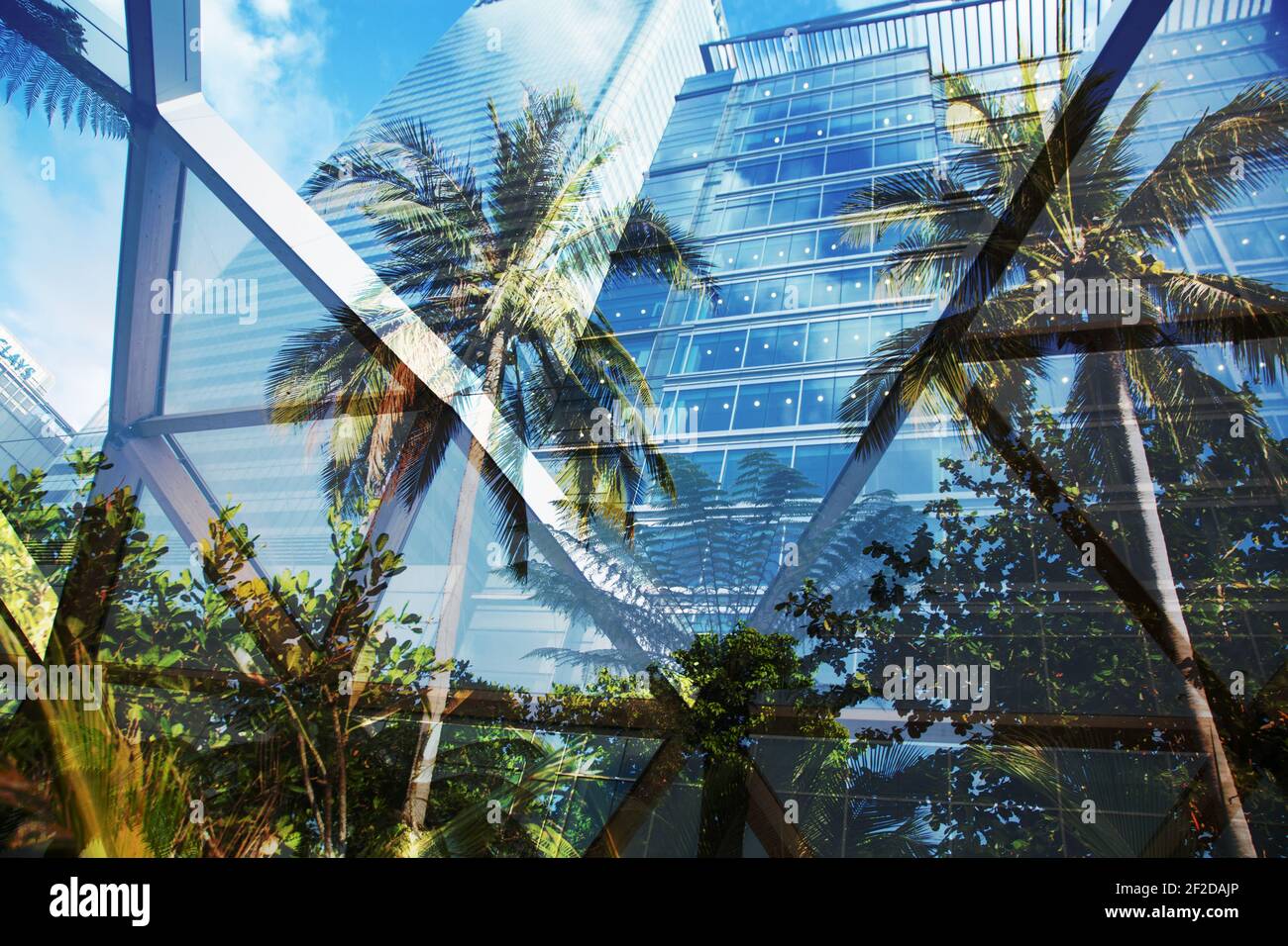 green city - double exposure of lush green forest and modern skyscrapers windows Stock Photo