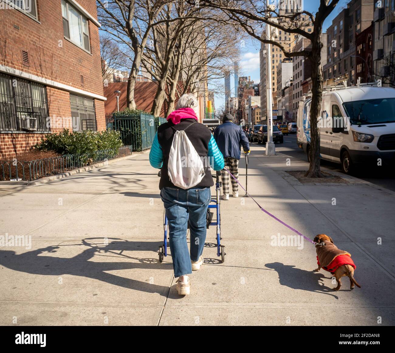 Elderly woman with her walker walks her dog in Chelsea in New York on  Thursday, March 4, 2021. (© Richard B. Levine Stock Photo - Alamy