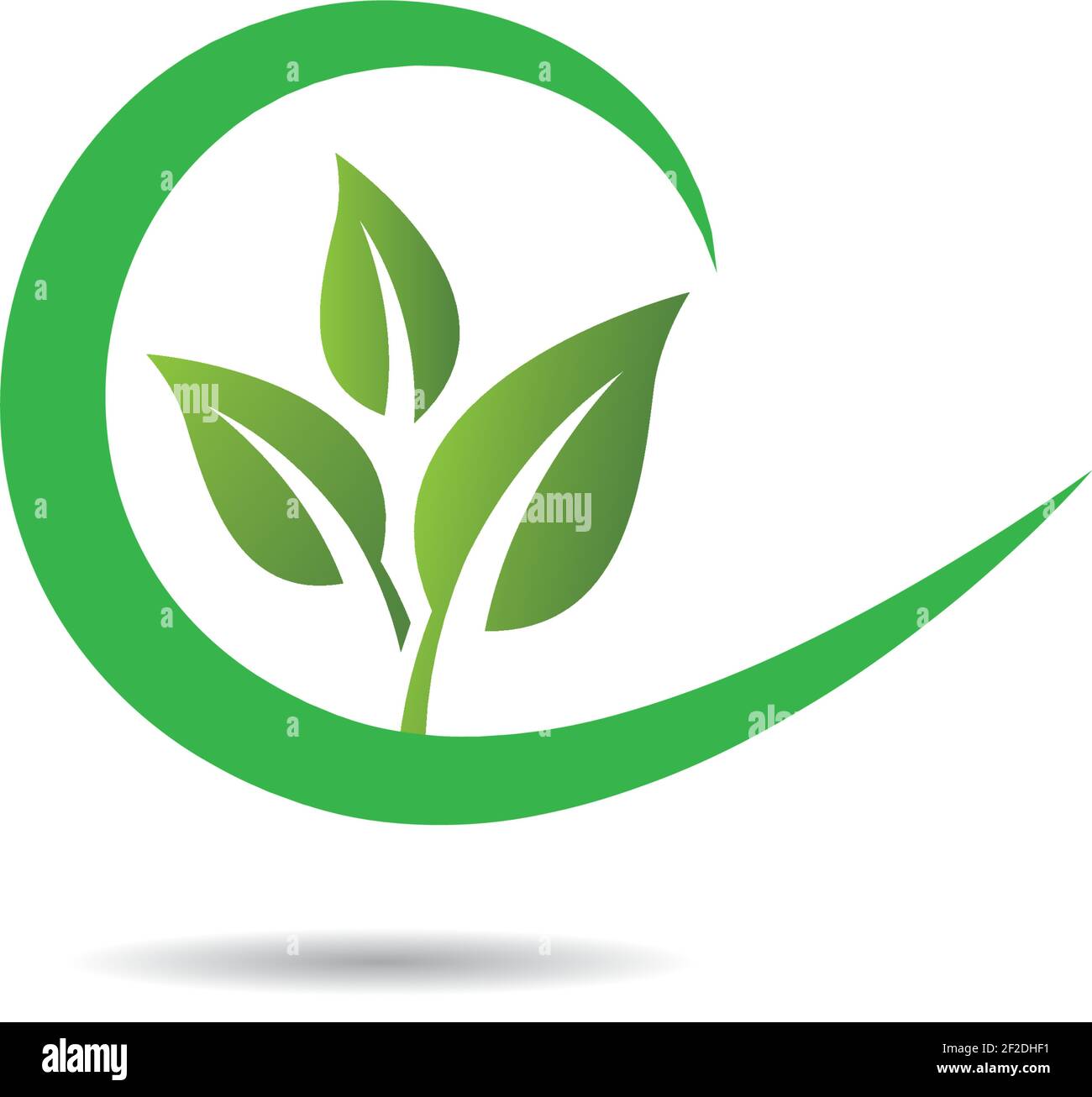 Logos of green leaf ecology nature element vector icon Stock Vector ...