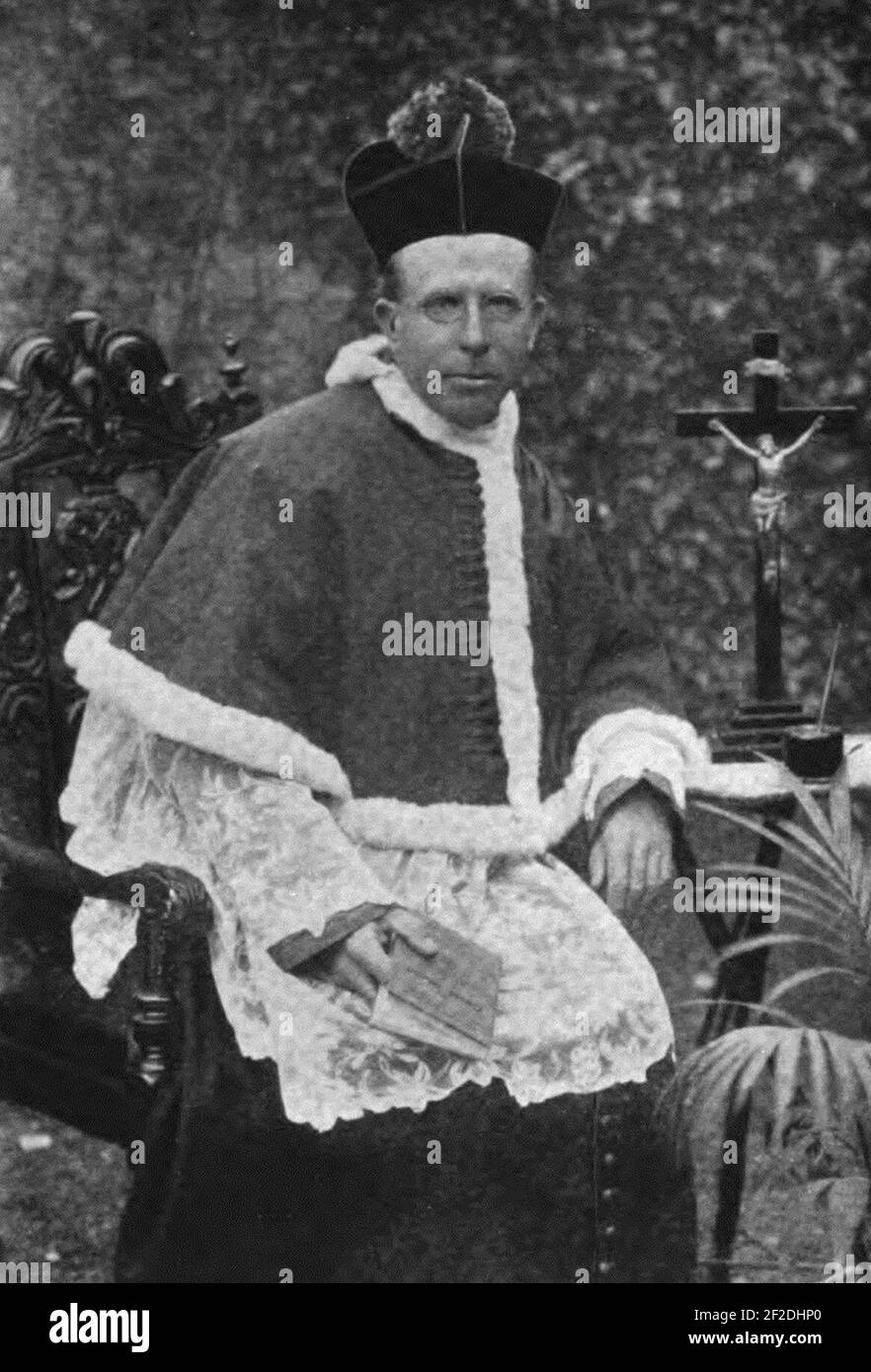 Portrait of Patrick Augustine Sheehan Stock Photo Alamy