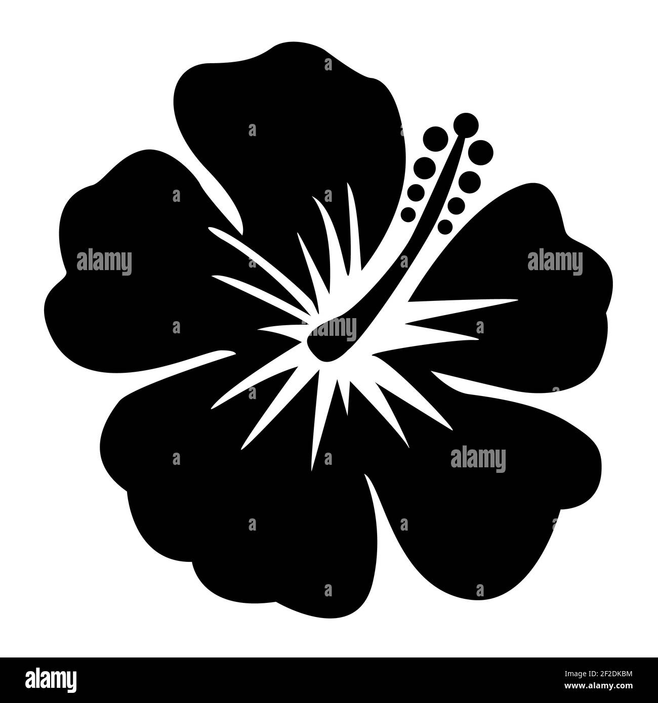 Black and white vector hibiscus flower Black and White Stock Photos ...