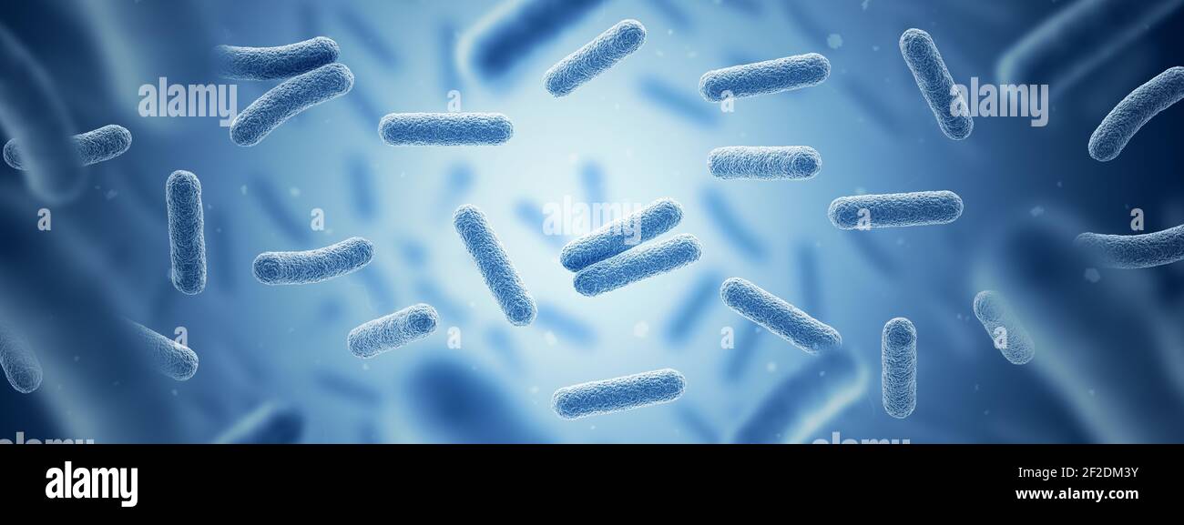 Bacteria. Bacterium. Blue color. Prokaryotic microorganisms. 3d illustration. Banner Stock Photo