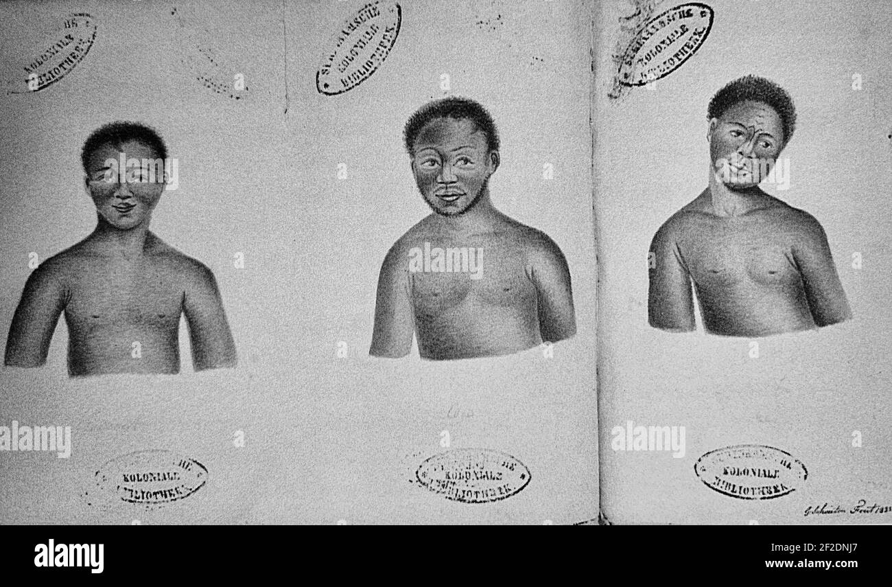 Portraits Of Cojo Kodjo Mentor And Present Drawing In Ink By Gerrit Schouten 13 Stock Photo Alamy Portraits Of Cojo Kodjo Mentor And Present Drawing In Ink By Gerrit Schouten 13 Stock Photo Alamy