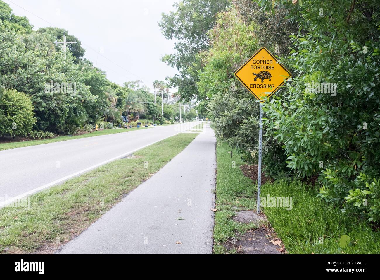 Gopher Tortoise Crossing Sign - Sanibel Island, Florida USA Stock Photo