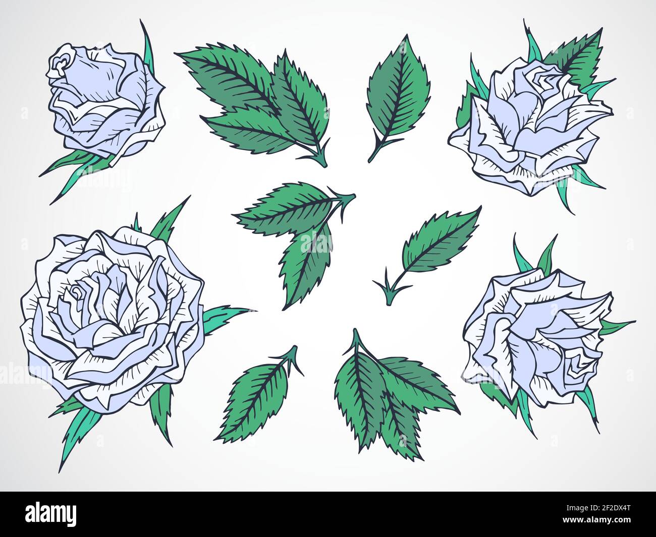 Vector set of hand drawn roses and leaves. In blue and green colors ...