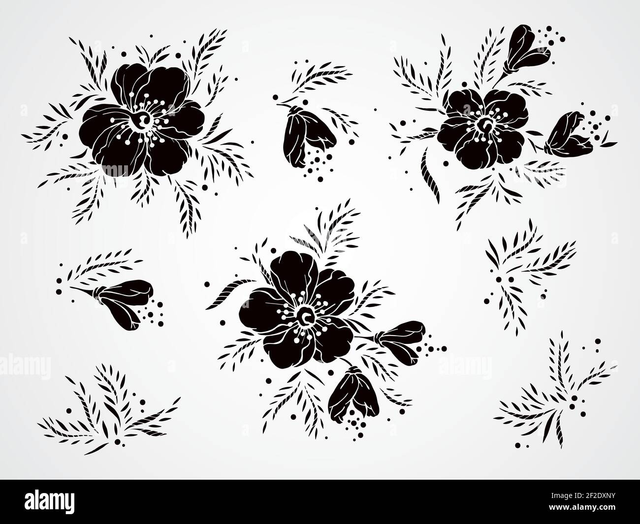 Vector set of black silhouettes hand drawn flowers, branches and leaves. Stock Vector