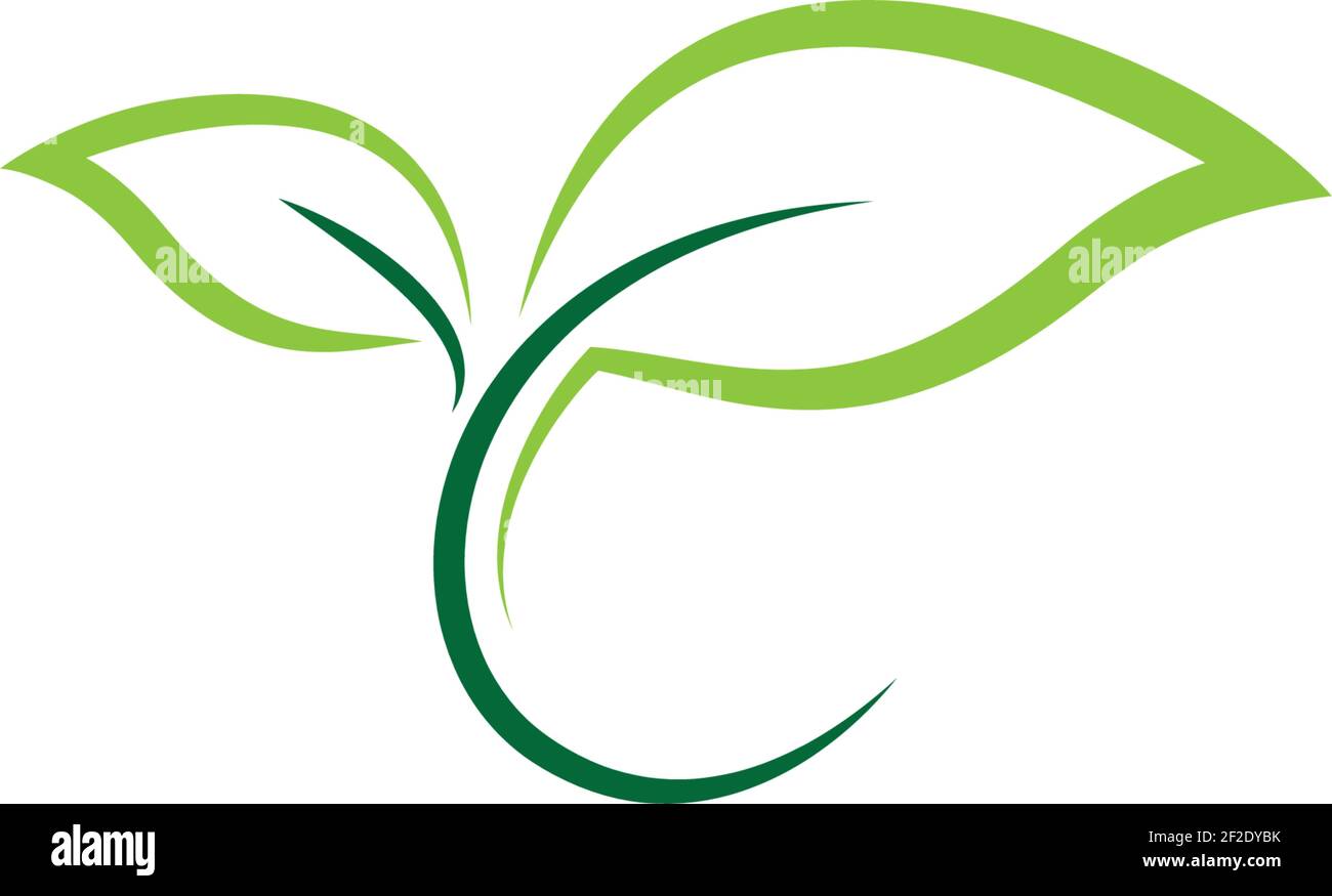 Logos of green leaf ecology nature element vector icon Stock Vector ...