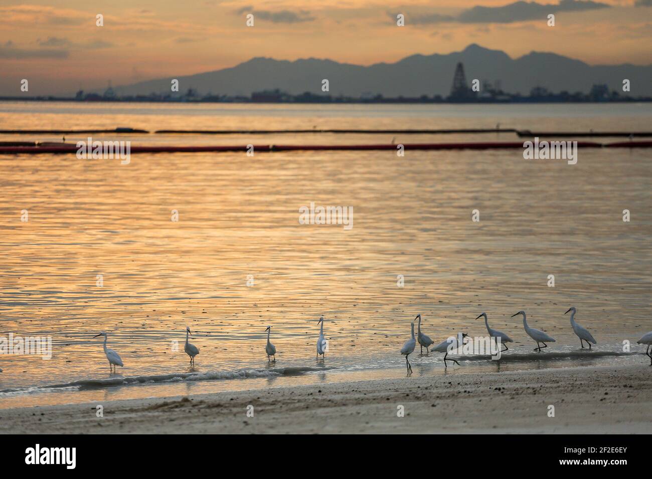 A flock of birds relax on the shore as people visit a portion of the Manila baywalk area that was covered with crushed dolomite rocks amid rising coronavirus cases in Manila, Philippines. Stock Photo