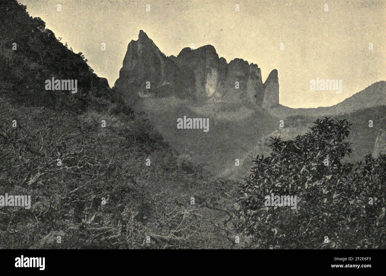 Les Archives Au Diadème, head of the Fautaua. Stock Photo