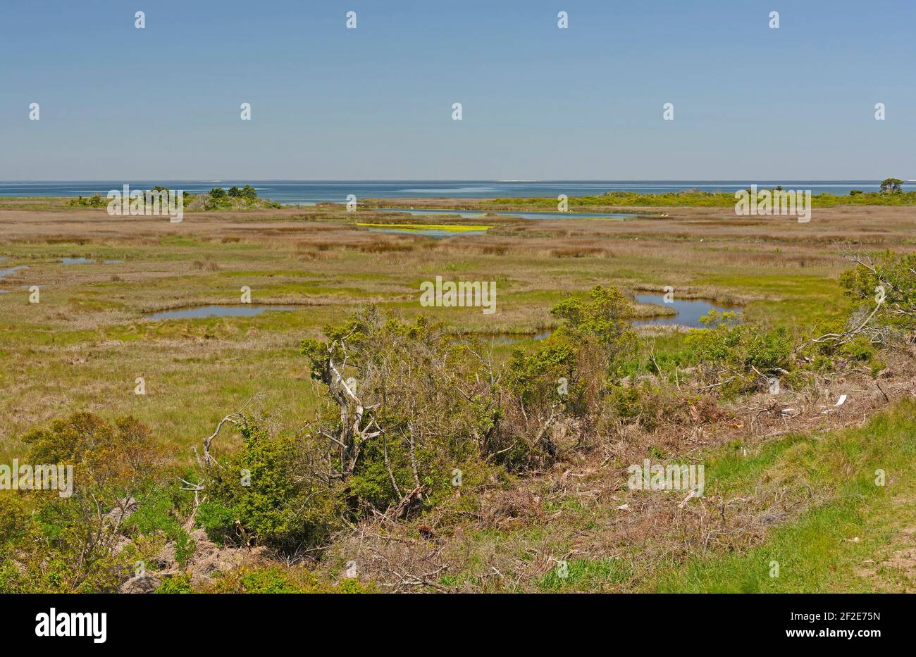 Wetlands on the Pea Island Wildlife Refuge on the Barrier Islands of Cape Hatteras in North Carolina Stock Photo