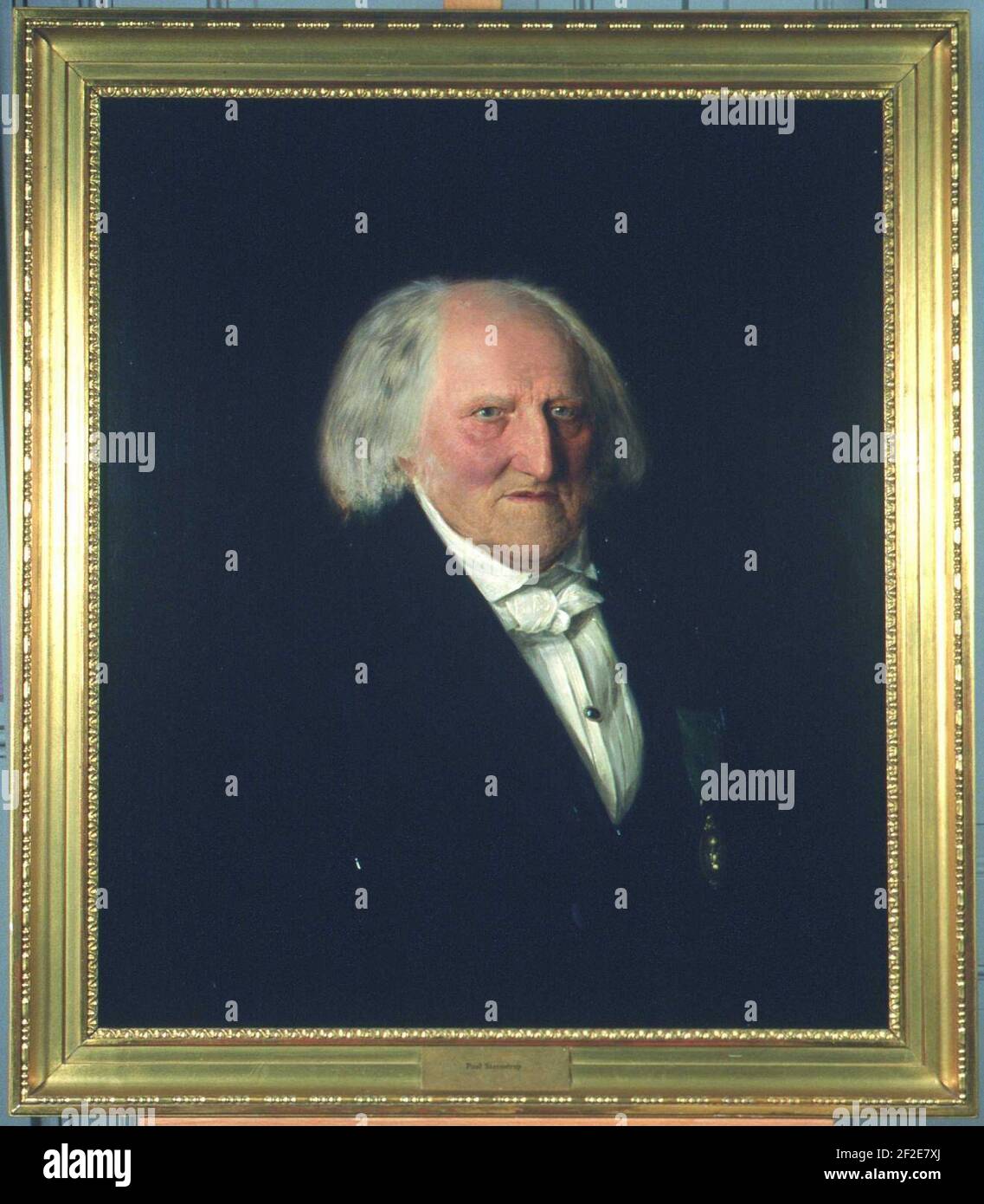 Gilded Animal Portraits Wallpaper, image size:1137x1390