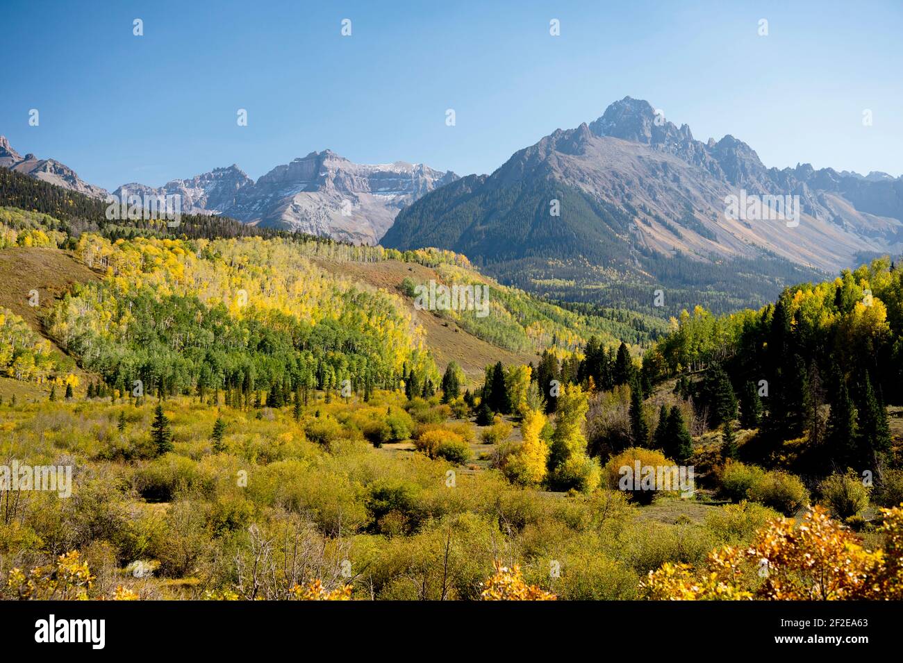 Fall color below Mt. Sneffels Wilderness in the Uncompahgre National Forest, SW Colorado USA Stock Photo