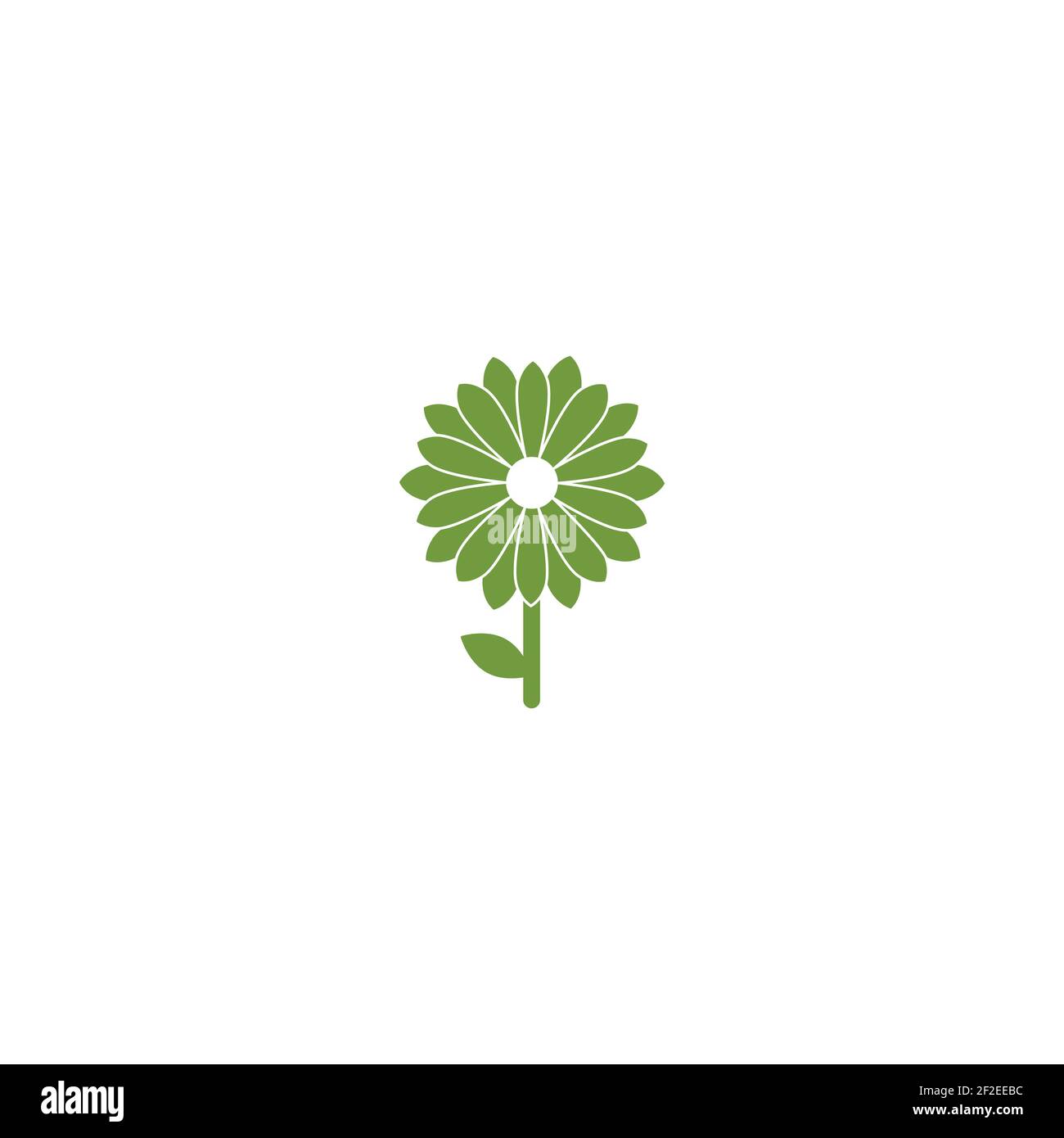 Green flat icon of chrysanthemum flower in with stem and leaf. Big Bloom with big sharp petals and white core. Stock Vector