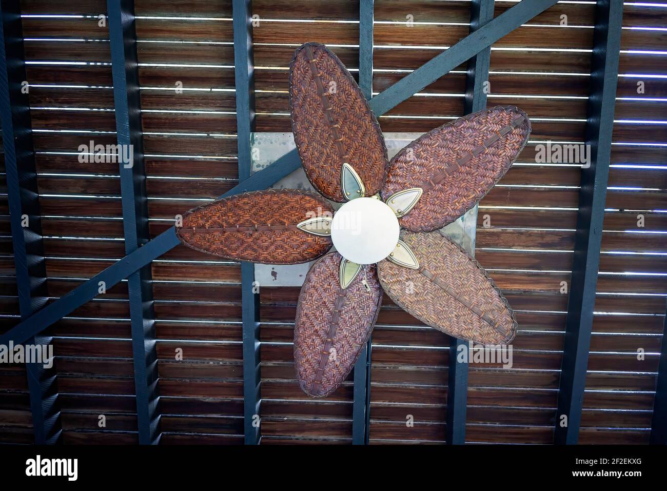 Decorative rattan overhead ceiling fan with light on timber slatted