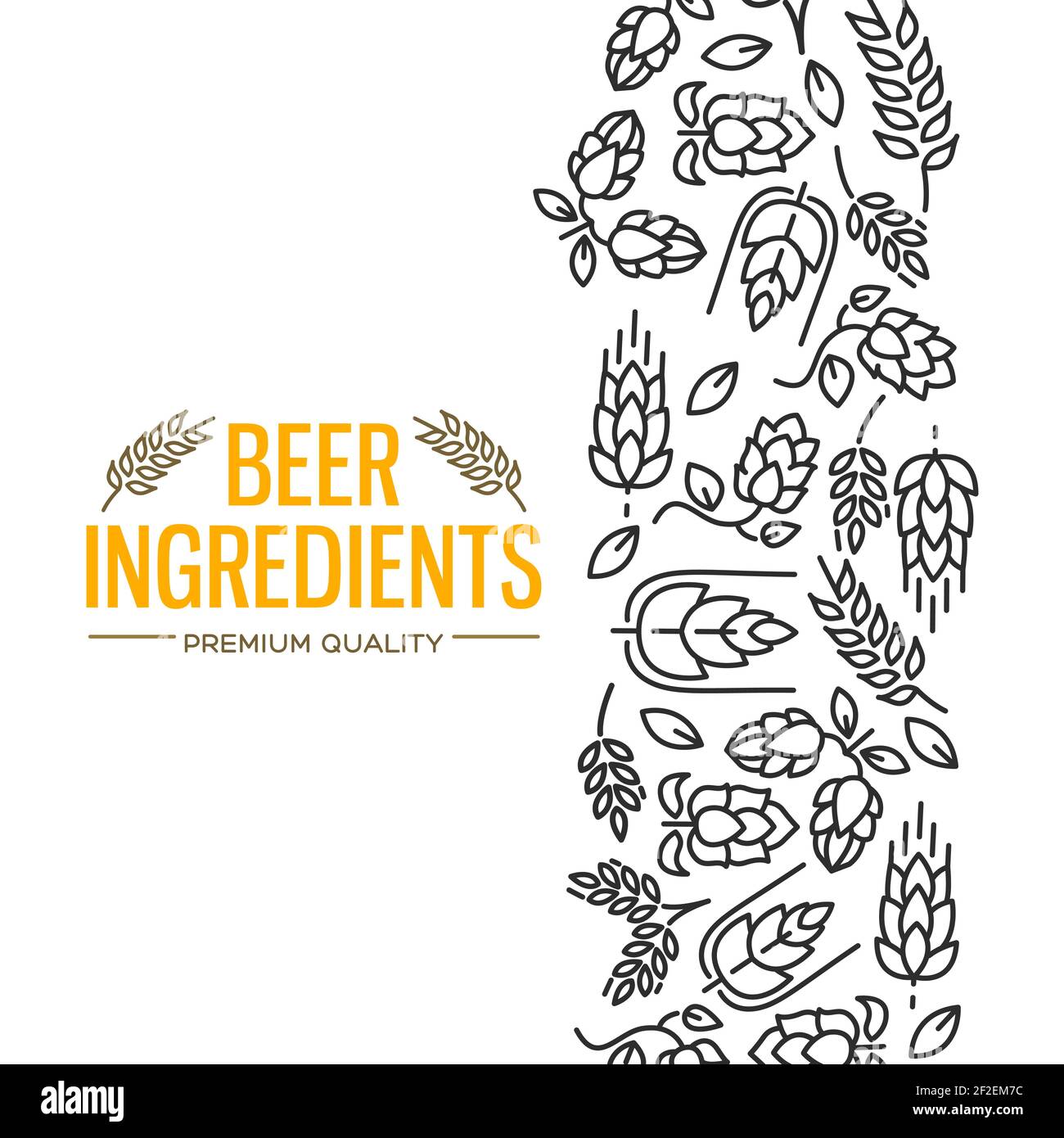 Stylish design card with images to the right of the yellow text beer ingredients of flowers, twig of hops, blossom, malt vector illustration Stock Vector