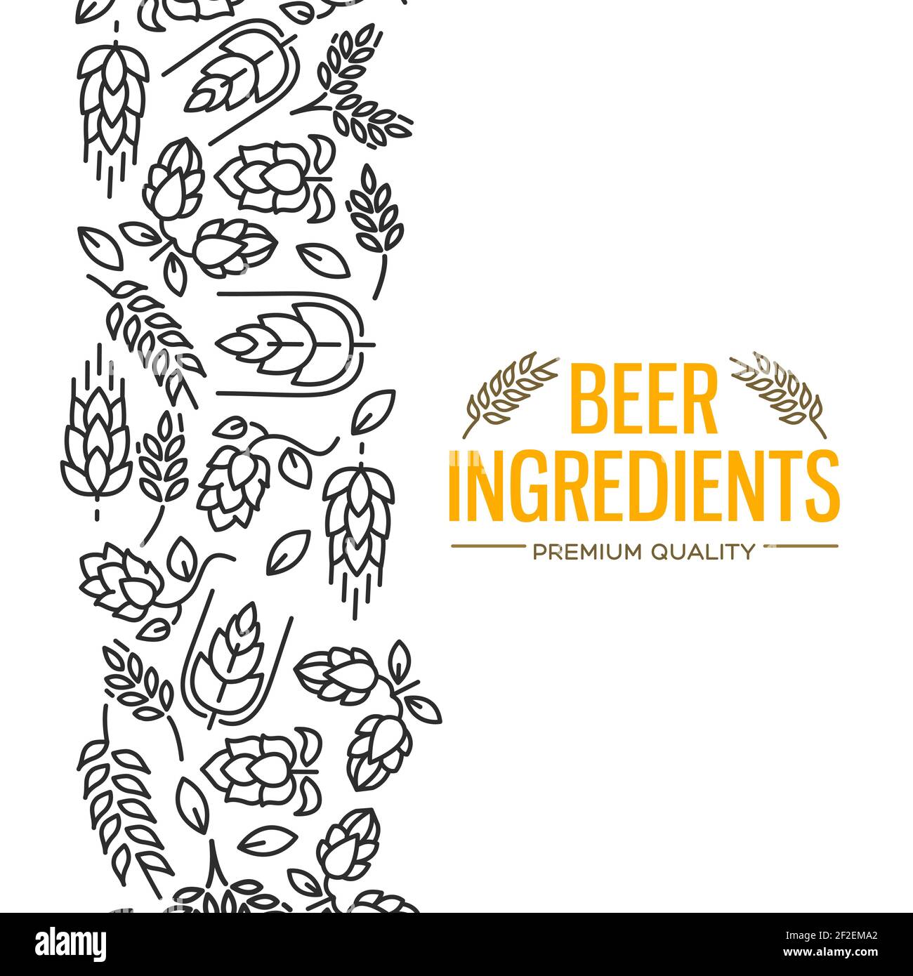 Stylish design card with images to the left of the yellow text beer ingredients of flowers, twig of hops, blossom, malt vector illustration Stock Vector