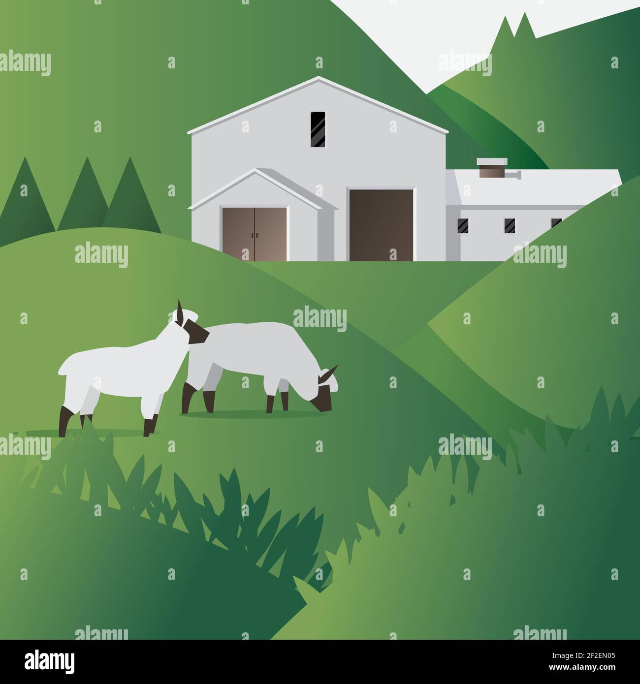 Sheep farm with farmhouse flat Stock Vector Image & Art - Alamy
