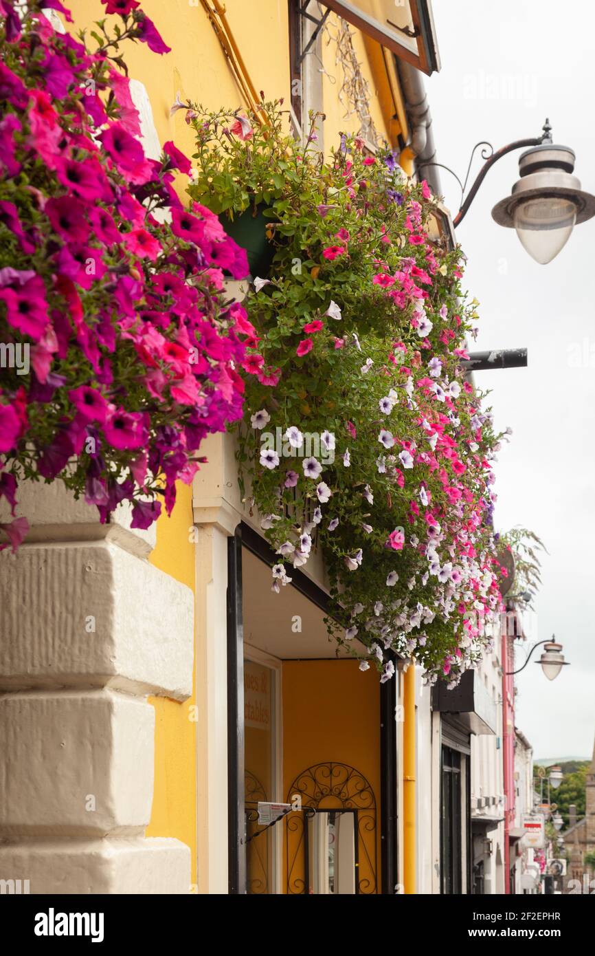 Ballycastle Garden Centre on Castle Street in Ballycastle, Moyle